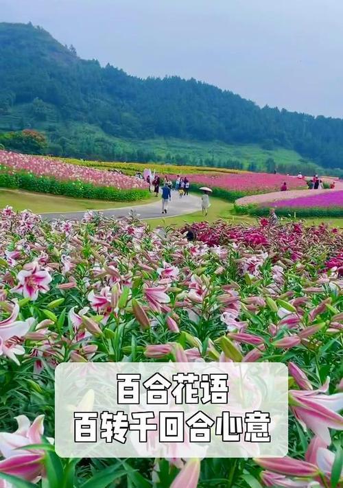 哪种花语最能表达心意？
