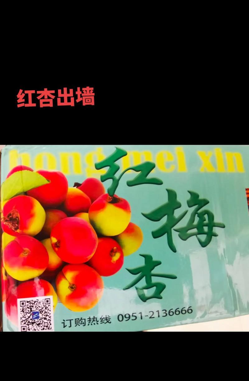 葡萄红杏子花语代表什么？葡萄红杏子象征什么？