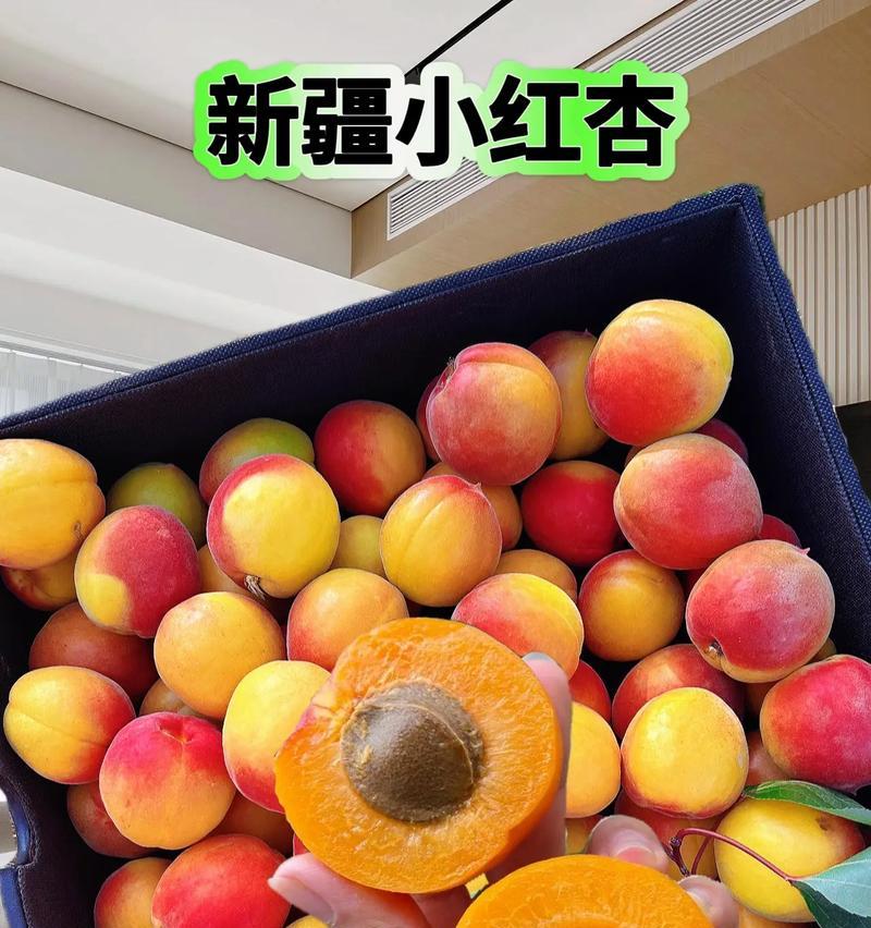 葡萄红杏子花语代表什么？葡萄红杏子象征什么？