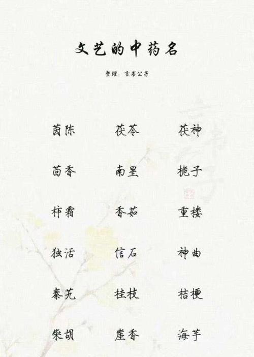 绿宝树的花语象征着什么？它的寓意又是什么？