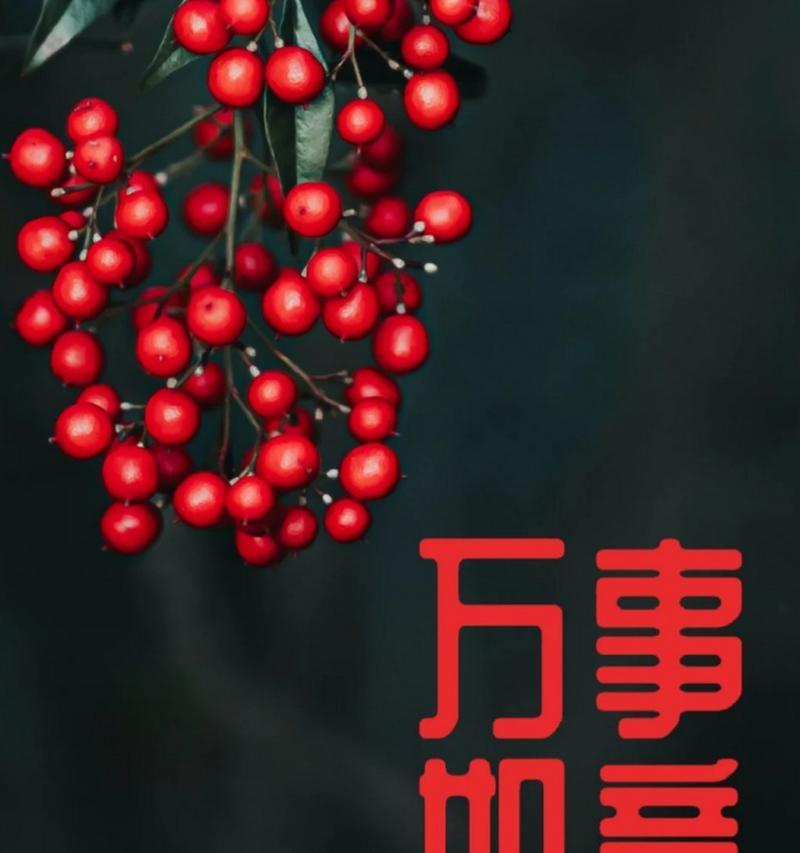什么花点花语是一切都好？哪种花语寓意着万事如意？