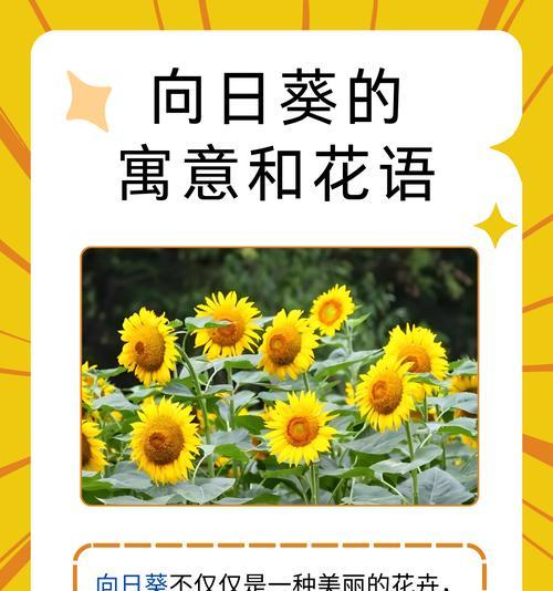 刺花的花语和寓意有哪些？
