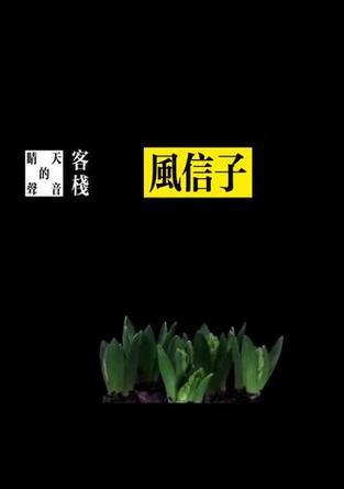 等待你的回来的花语是什么？