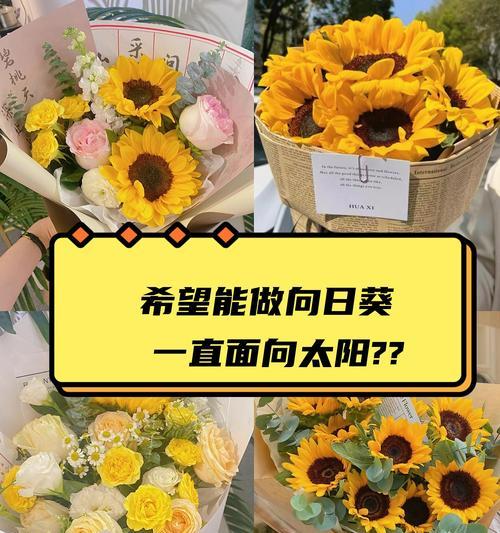 向日葵的花语是什么？它为何总是面向太阳？