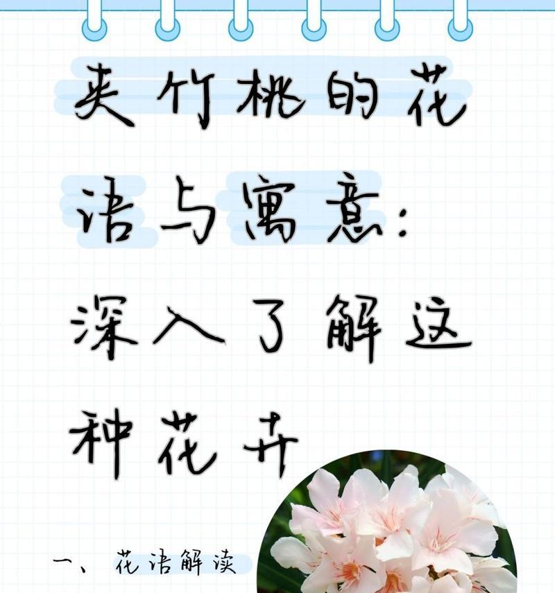 如何深入理解花语的顶级含义？