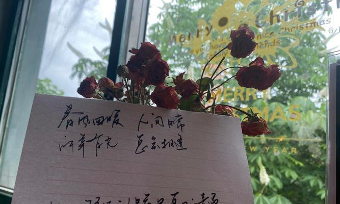 永远不爱那朵花的花语是什么意思？