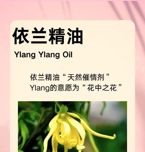 依米花的花语和寓意是什么？