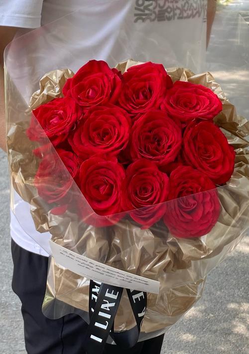 给陌生人送玫瑰花代表什么？应该送几朵合适？