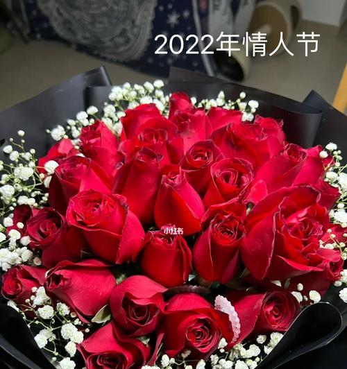 给陌生人送玫瑰花代表什么？应该送几朵合适？