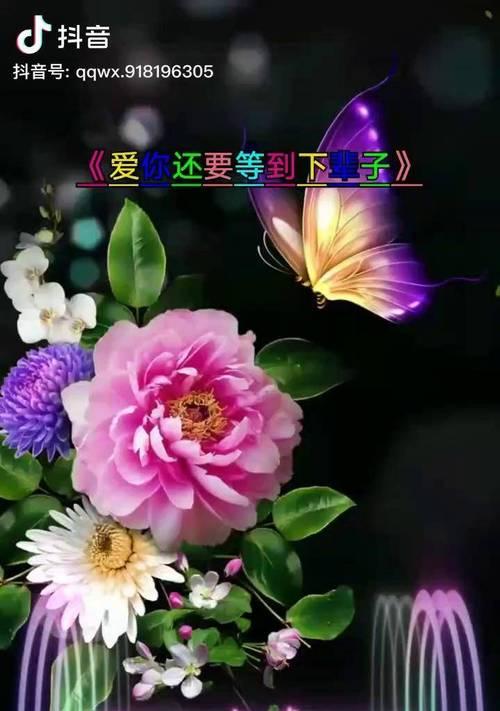 红蔷薇通常表达什么情感？