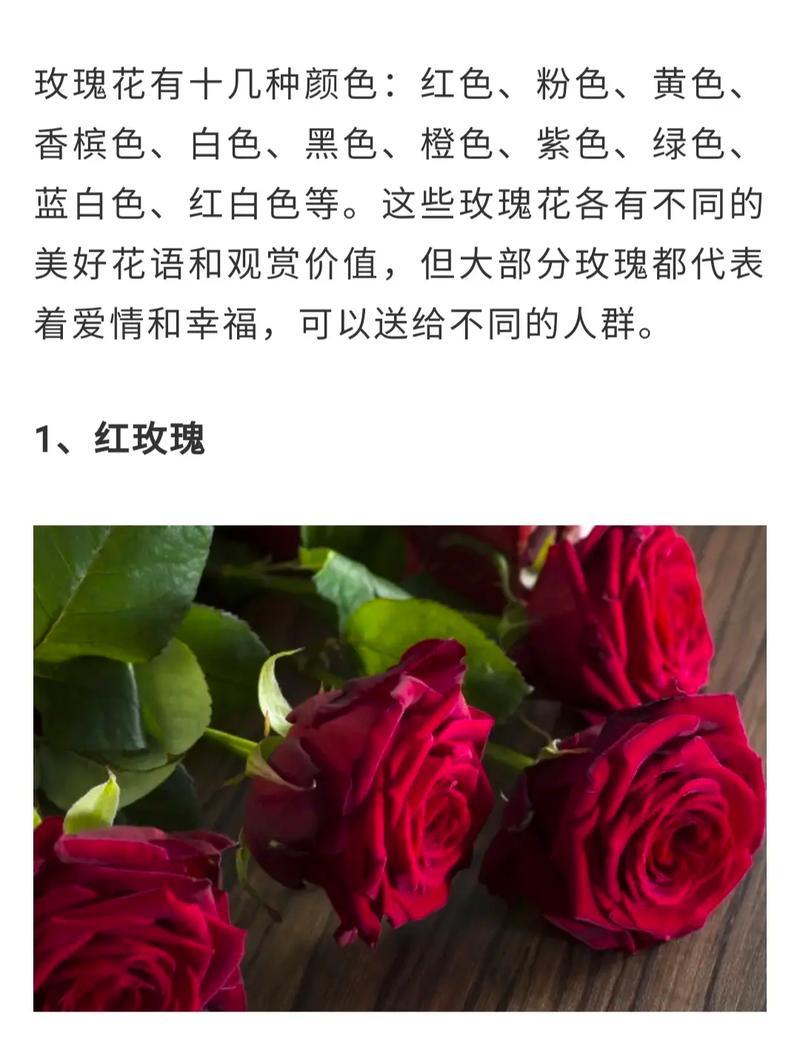 和前女友复合的花语有哪些？送什么花表达复合意愿？