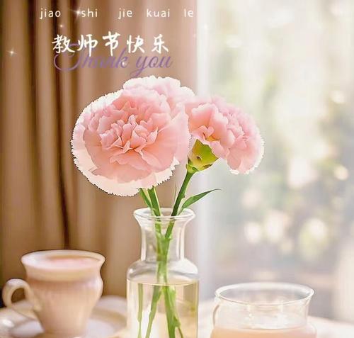 表达师情永存的花语有哪些？师恩难忘的花语是什么？