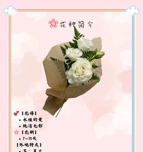 洋桔梗有哪些花语含义？
