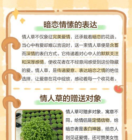 祝福对象的花语是什么？花语中包含的祝福有哪些？