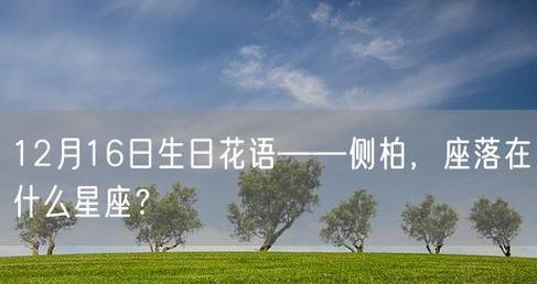十二月五日生日的人花语是什么？
