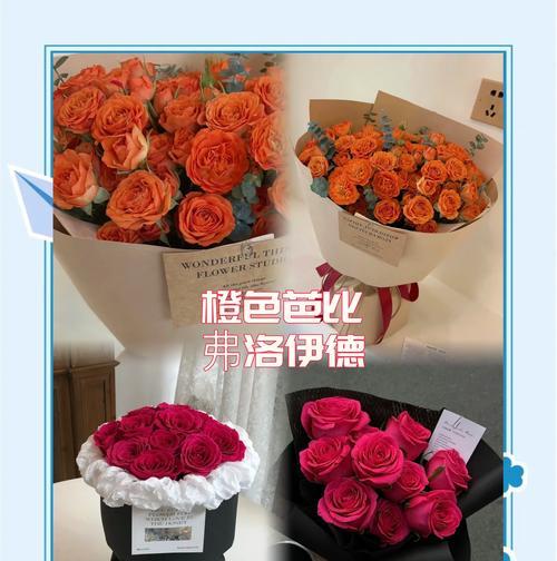 成芭比的花语寓意有何深意？
