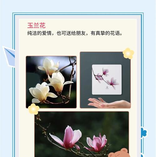 送女朋友花的花语是什么？送花有何特别含义？