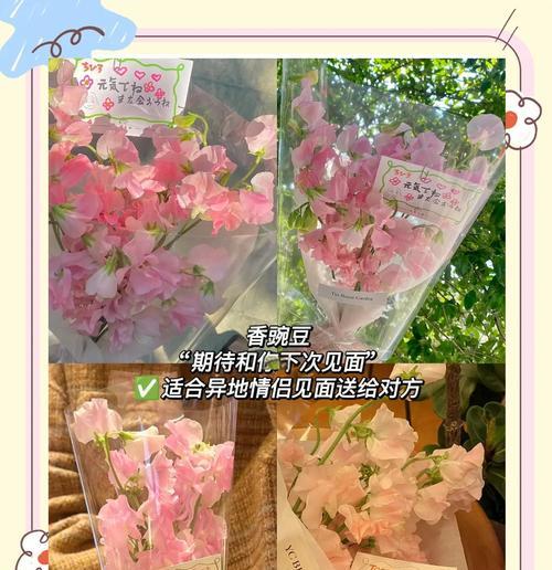 送女朋友花的花语是什么？送花有何特别含义？
