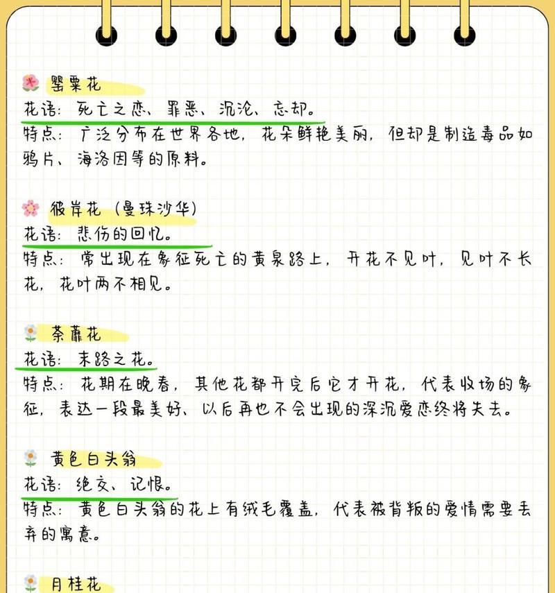哪些常见花的花语最动人？