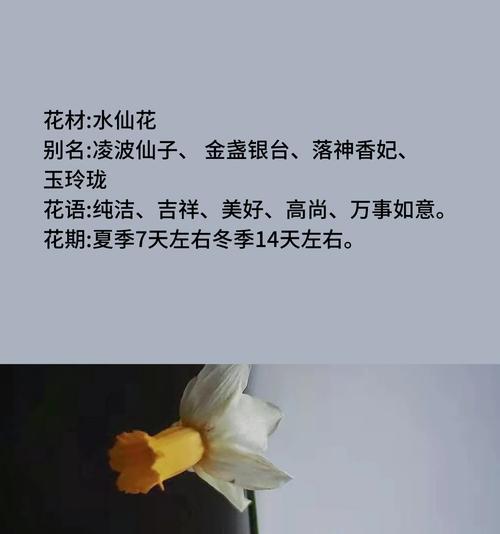 水仙花的花语寓意有哪些？
