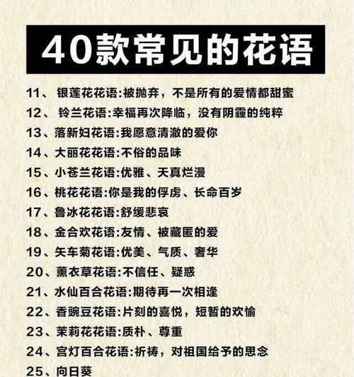 美丽到失语的花语有何深意？