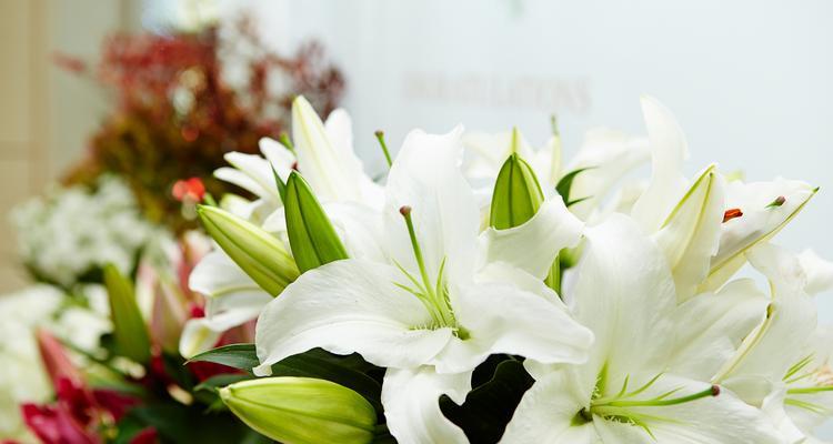 爱情的花代表什么？不同花朵的花语有何不同？