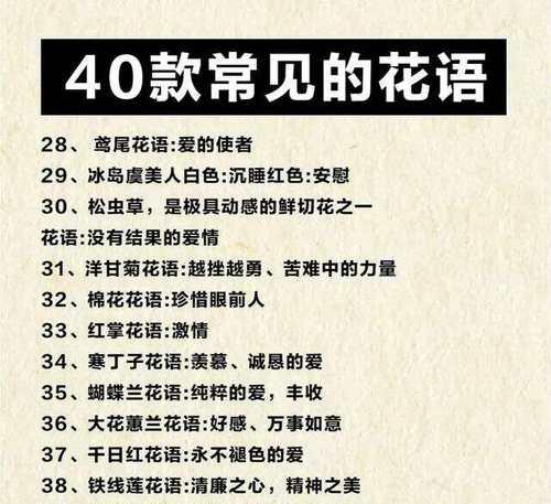 四瓣樱花有何特殊含义？它的花语是什么？