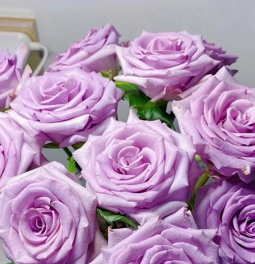 十朵白玫瑰代表什么？花语是什么？