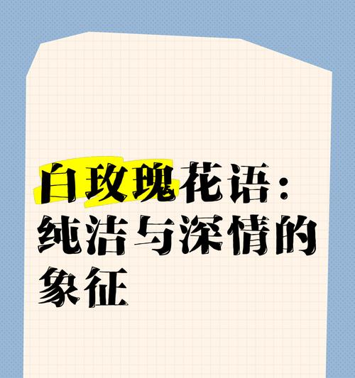 白玫瑰的花语隐含了哪些意义？