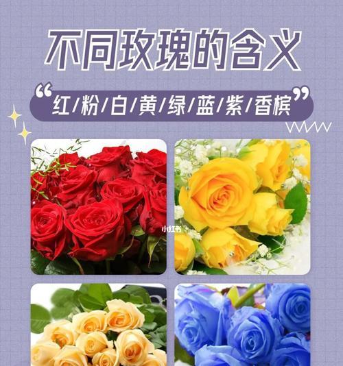 粉色玫瑰花在生日中的花语是什么？代表什么意义？