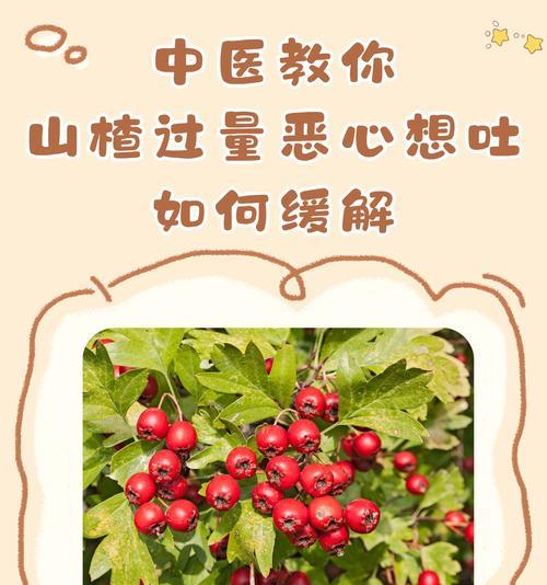 酸山楂花语代表了什么？它象征着什么情感？