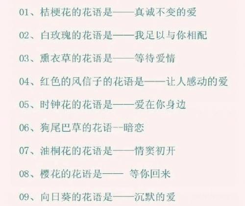 送给别人的花语是什么花？