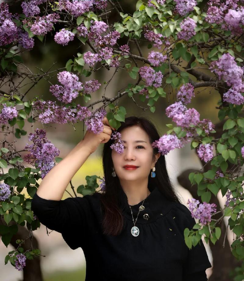 送给别人的花语是什么花？