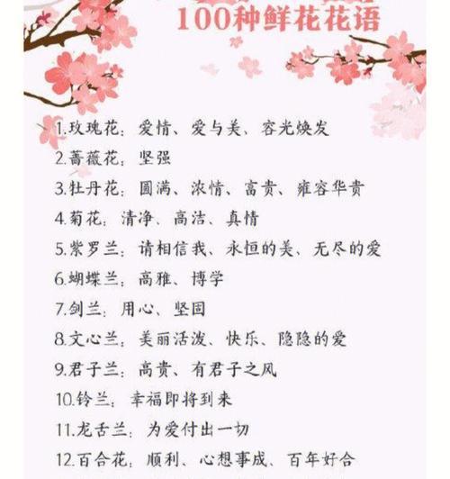 送给别人的花语是什么花？