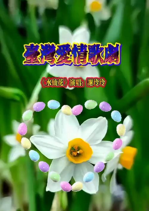 水仙花的美好花语代表了什么？