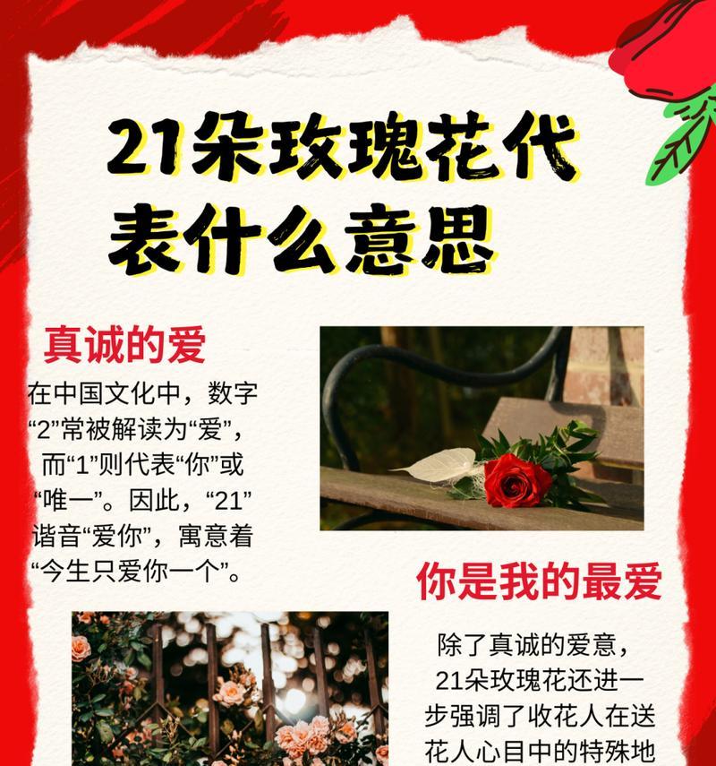 肉色玫瑰花语代表什么？