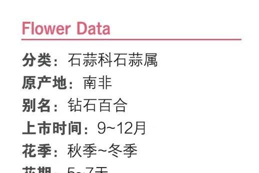 花语名字的由来是什么？花语背后的故事是什么？