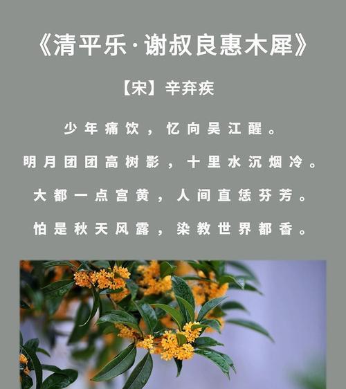 桂花语的写作顺序是什么？桂花语的写作方法是什么？