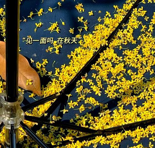 桂花语的写作顺序是什么？桂花语的写作方法是什么？