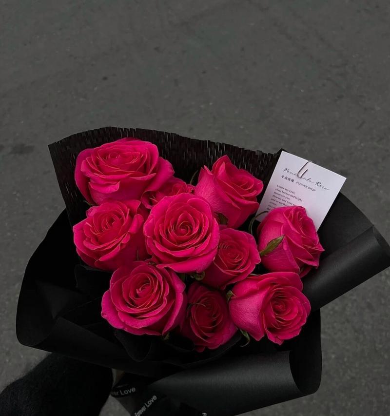 表达真诚和坦诚的花语是什么？弗洛伊德玫瑰花语代表什么？