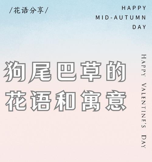 什么花语代表着偏执暗恋？哪种花代表不为人知的爱恋？