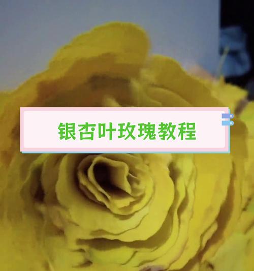 扇叶子折玫瑰花的教程是什么？步骤如何？