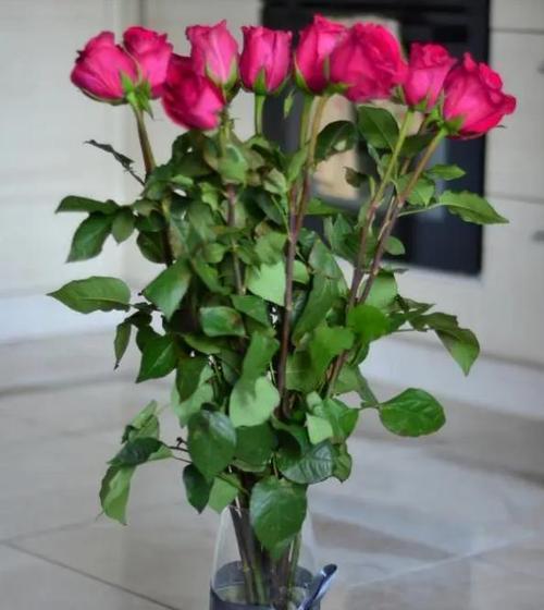 玫瑰花高脚花盆的种植技巧是什么？