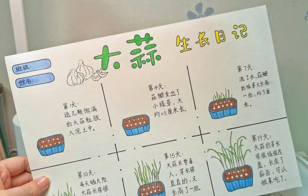 大型仙人掌养活的秘诀是什么？