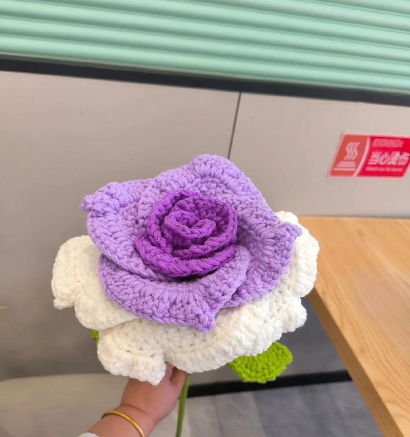 如何培养出玫瑰花的渐变色彩？