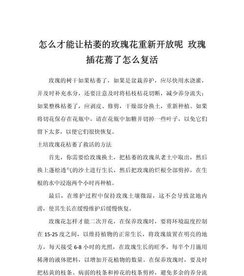 玫瑰花沾水会枯萎吗为什么？玫瑰花沾水后枯萎的原因是什么？