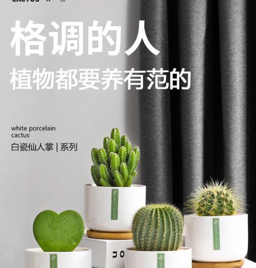 圆的仙人掌的栽种技巧是什么？