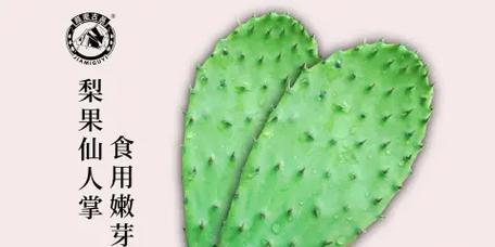 梨果仙人掌长侧芽的方法有哪些？如何促进分枝？