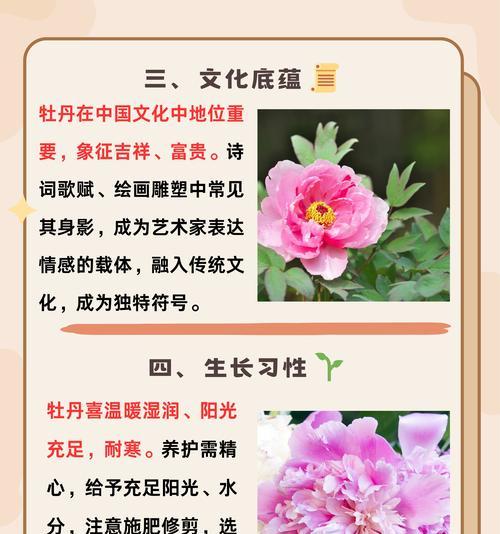 多头牡丹花的养殖方法和注意事项是什么？