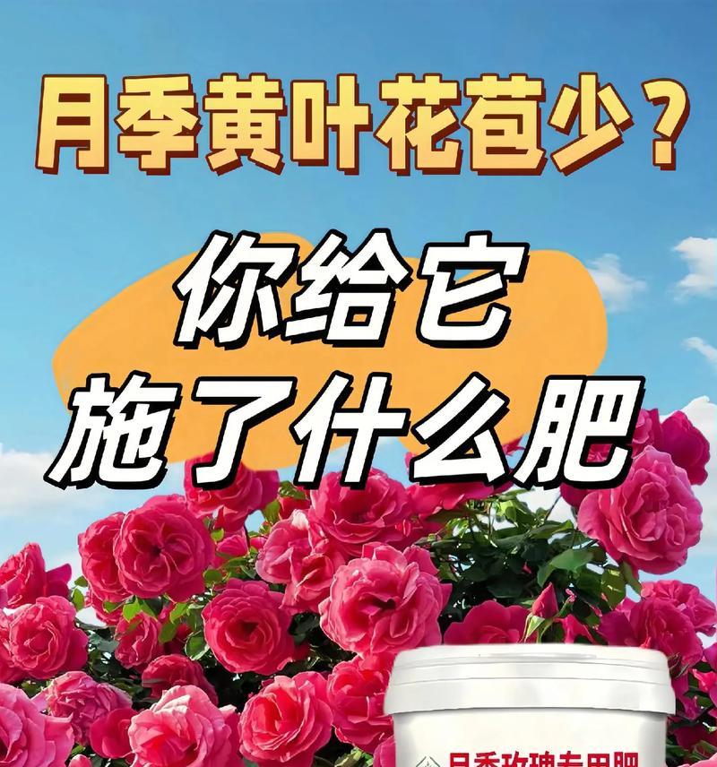 盆景专用玫瑰花专用土的成分是什么？